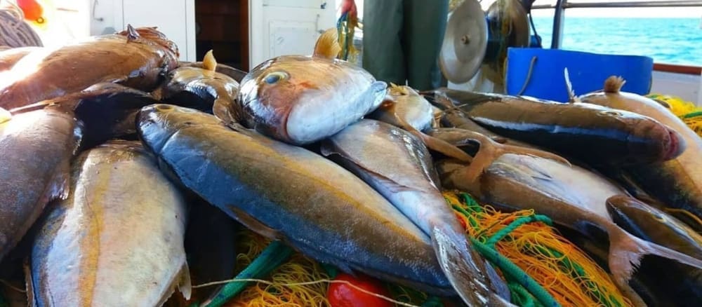 giornata con pescatore