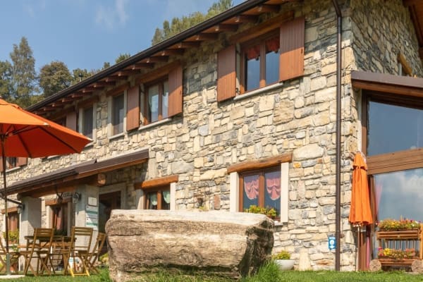 le radici como giornata da pastore