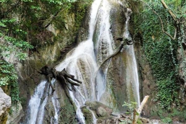 beb sentiero bosco foligno