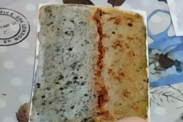 workshop acquerello botanico perugia