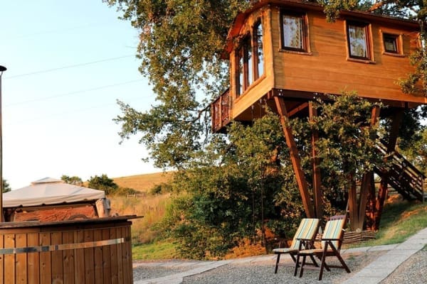 casa albero grosseto