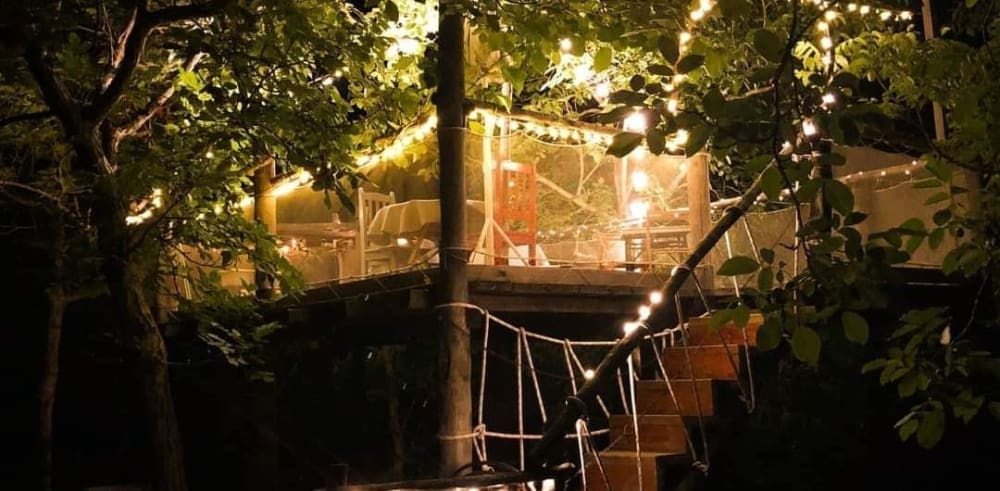 cena su un albero perugia
