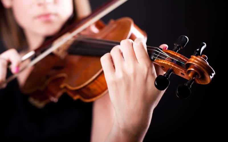 Violino