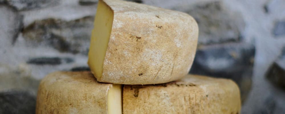 cheese making class fattoria della felicità bergamo