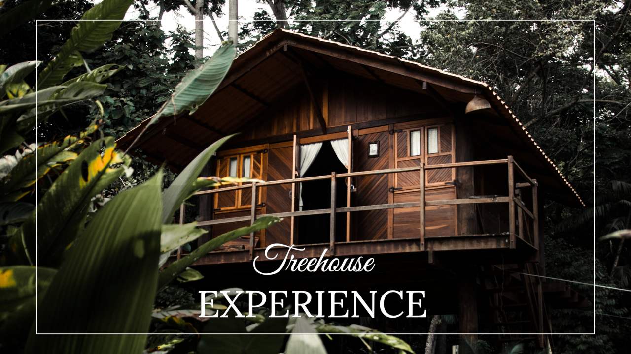 Notte da sogno in una casa sull’albero 